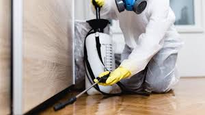 Best Emergency Pest Control  in Stony Point, MI